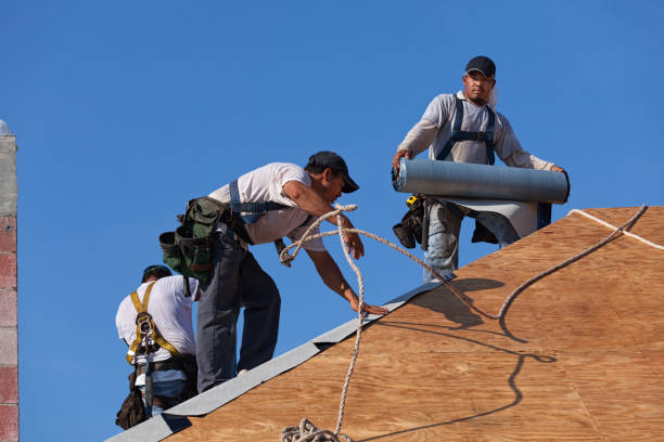 Best Metal Roofing Contractor  in Van, TX